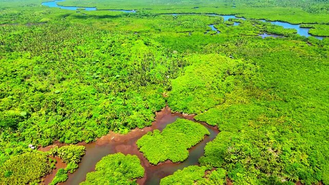 Aerial top down view of Maasin River valley in Siargao island Philippines