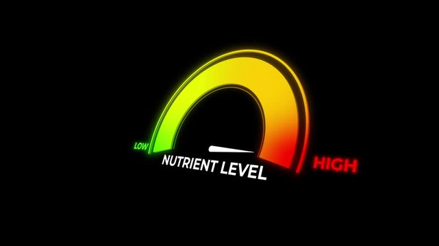 Animated gauge showing nutrient level rising to high then falling to low. Ideal for nutrition deficiency, healthy diet, supplement intake, and wellness content.