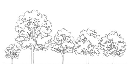 2D AutoCAD drawing of trees in landscape with various foliage and trunks © Stock Image Paradise