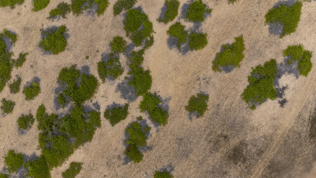 Aerial view of scattered green bushes across a dry sandy landscape in Badagry, Lagos, Nigeria.