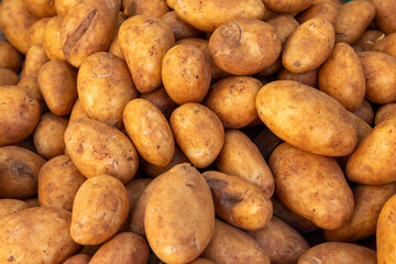 Obraz premium fresh new potatoes at the farmers' market 