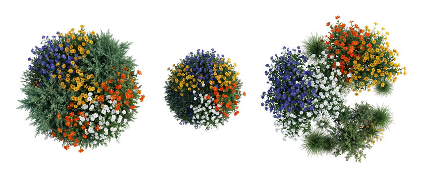 Top view, flower bed, garden, landscape, plants, bush, shrub. A collection of colorful round floral arrangements for architectural visualization, park planning, and exterior landscape design.