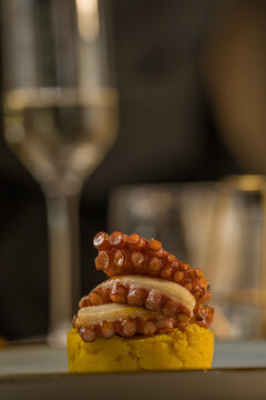 Elegant gourmet appetizer of grilled octopus tentacles served in a fine dining restaurant. The image captures the perfectly charred and caramelized texture of the octopus, beautifully plated with colo