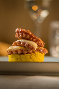 Elegant gourmet appetizer of grilled octopus tentacles served in a fine dining restaurant. 