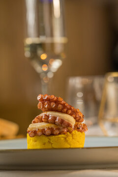 Elegant gourmet appetizer of grilled octopus tentacles served in a fine dining restaurant. The image captures the perfectly charred and caramelized texture of the octopus, beautifully plated with colo