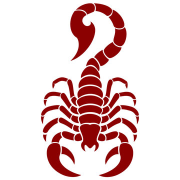 Red scorpion tattoo drawing silhouette alacran symbol logo with sting art vector on transparent background for simple design