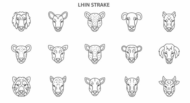 Collection of various animal face drawings.