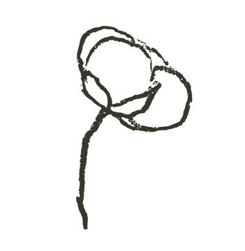 Cotton flower on branch doodle charcoal isolated drawing. Natural organic blossom fluffy fiber on stem. Botanical hand drawn wedding rustic herb. Ripe cotton boll fiber in grunge sketch style.