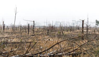 Obraz premium Chernobyl Exclusion Zone Landscape