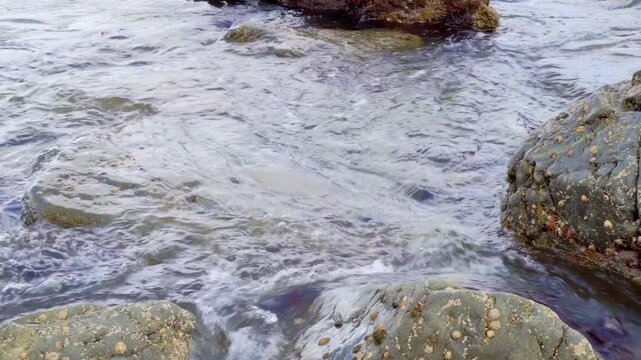 Sea water running in between rocks stock footage
