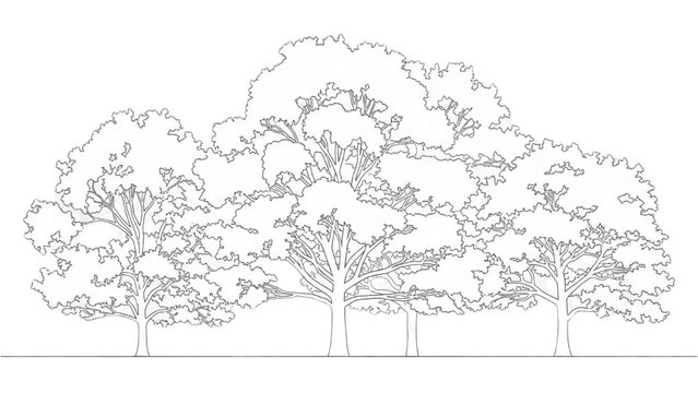 2D AutoCAD drawing of trees in a landscape