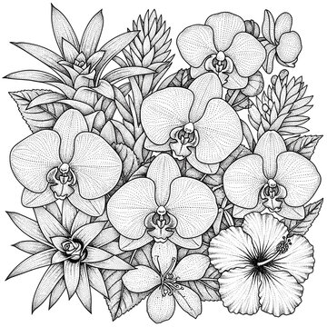 Detailed black and white illustration of tropical flowers and bromeliads in stippled art style