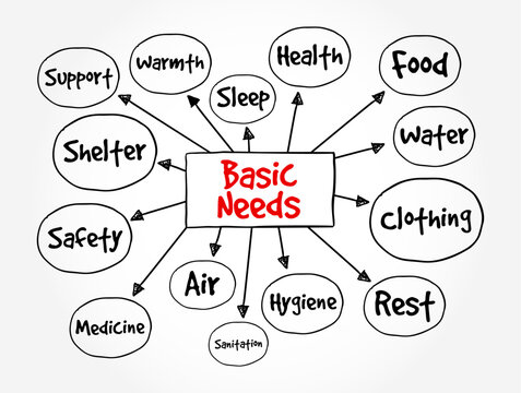 Basic Needs mind map diagram illustrating health, food, water, sleep, warmth, support, shelter, safety, medicine, air, sanitation, hygiene, rest, and clothing requirements for human survival