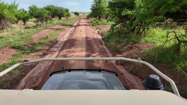 Safari Gel&auml;ndewagen f&auml;hrt durch den Tarangire Nationalpark in Tansania, Afrika