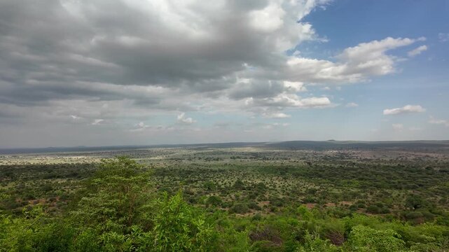 Kameraschwenk &uuml;ber den Tarangire Nationalpark in Tansania
