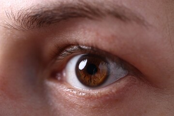 Obraz premium Macro view of woman with beautiful brown eyes