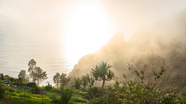 Sunlit coastal garden overlooking madeira cliffs and ocean mist | Zalany słońcem ogr&oacute;d przybrzeżny z widokiem na klify Madery i mgłę oceanu
