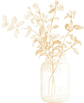 Delicate floral branches in a glass jar with soft diffused light and subtle stippled texture