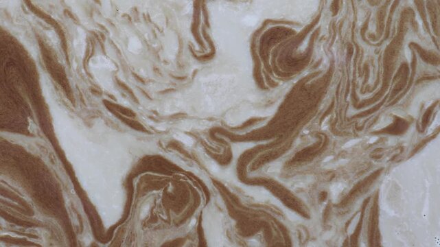 abstract coffee and milk foam swirl texture background