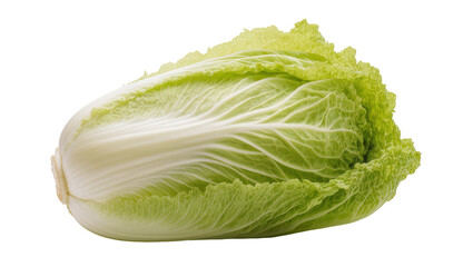 Naklejka premium Crisp green and pale Napa cabbage head with ruffled leaves