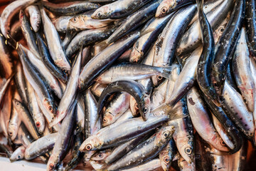 Obraz premium sardines in fish market, Ballarò Market - Albergheria Market -, Palermo, Sicily, Italy, Europe