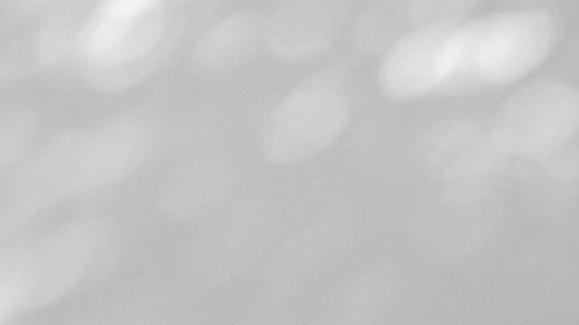 Natural blurred light and shadow overlay effect on white surface.