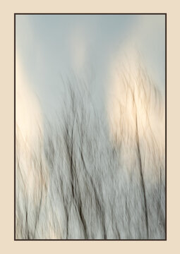 Card or small wall art print featuring abstract motion blur in soft neutral tones. The vertical movement of trees and light creates a calm, atmospheric composition inspired by a quiet landscape.