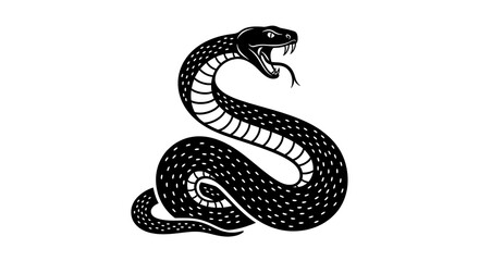 Fototapeta premium Black and white of a coiled rattlesnake with detailed scales and rattle reptile