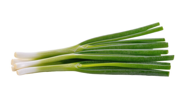 Fresh Green Bunch of Spring Onions with White Roots