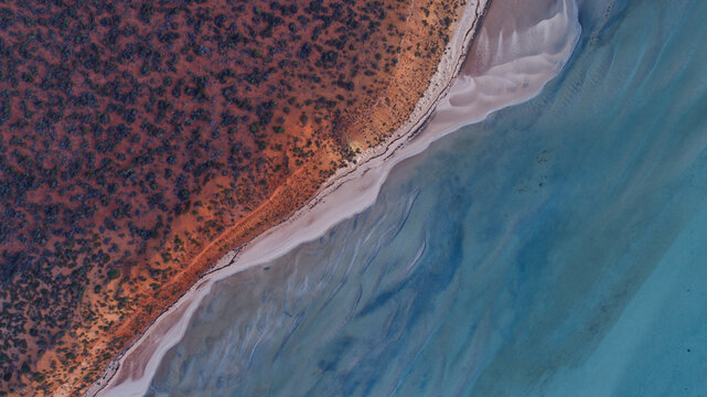 Aerial view of the dramatic contrast where vibrant red earth meets a pristine white sandy shore, giving way to the clear, shallow turquoise waters, Denham, Western Australia, Australia.