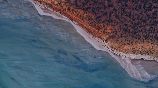 Aerial view of the dramatic meeting point where vibrant blue waters kiss pristine white sands, transitioning to rugged, fiery red earth, Denham, Western Australia, Australia.