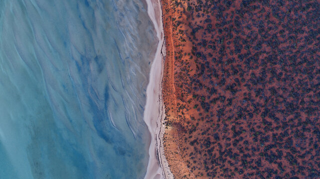 Aerial view of the vivid turquoise ocean meeting the light sandy beach and the rich red earth covered in dense, dark vegetation, Denham, Western Australia, Australia.