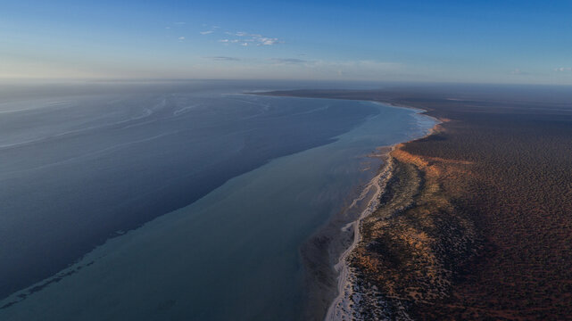 Aerial view of a vibrant coastline where shallow turquoise water meets deep blue ocean, bordered by arid reddish land under a serene gradient sky, Denham, Western Australia, Australia.
