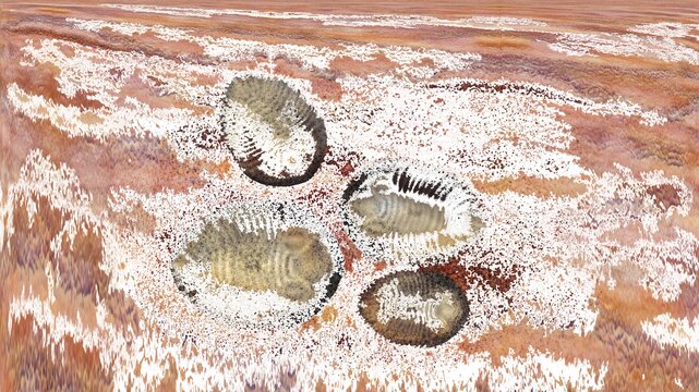 Abstract digital illustration of trilobite fossils embedded in a textured sandstone surface with white mineral deposits.