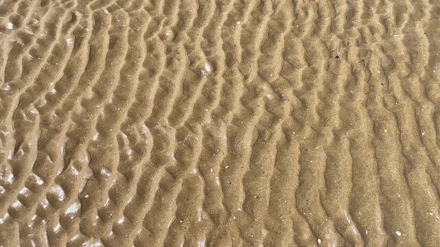 Sand ripples formed by sea waves on the beach at low tide, creating natural patterns in the sand.