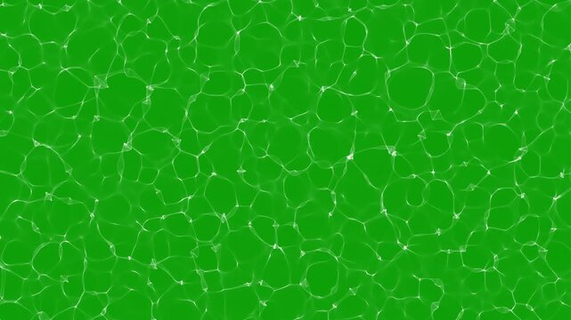 Wave green caustics Background. Organic abstract white caustic water liquid ripple texture pattern on a green minimalist background. Pure, clean water in the pool.  3d Animation loop. 4K
