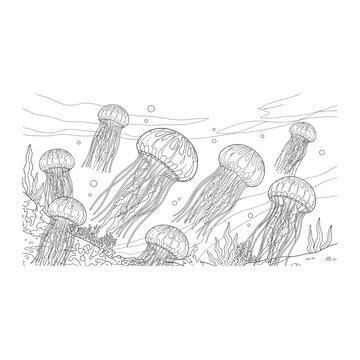 Subaquatic jellyfish swimming in ocean depths coloring page illustration