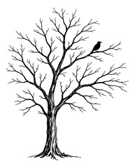 Obraz premium Hand drawn illustration of a leafless tree depicting a bird perching on a branch for seasonal designs
