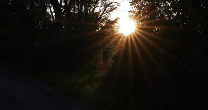 4K video of bright sunburst through a rustic wooden gate in woodland.