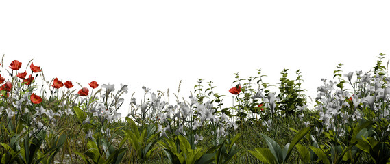 field displays red and white flowers surrounded by green grass and various plants. flowers stand...