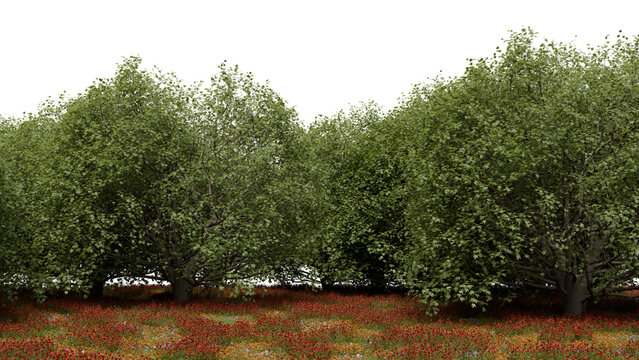 collection of green trees stands tall in a natural setting. Red flowers cover the ground beneath the trees. Bright daylight shines on the scene, creating a simple view of nature. 3d render