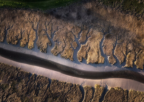 Aerial view of a dark river snaking through textured, golden-brown marshland, contrasting with lush green fields, Portmarnock, County Dublin, Ireland.