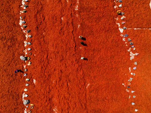 Aerial view of a vast fiery expanse of earthy red produce drying under the sun, dotted with pale scattered forms of workers and tools, Sariakandi, Rajshahi Division, Bangladesh.