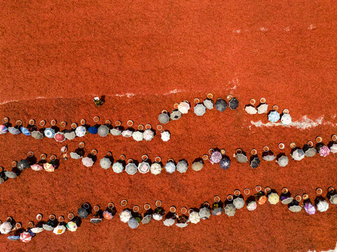 Aerial view of vibrant umbrellas and people in rhythmic lines on a vast reddish-brown ground, creating striking patterns, Sariakandi, Rajshahi Division, Bangladesh.