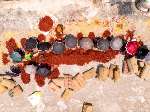 Aerial view of vibrant crimson chili peppers drying on stark grey concrete, with dark canopies sheltering workers amidst rough jute sacks, Sariakandi, Rajshahi Division, Bangladesh.