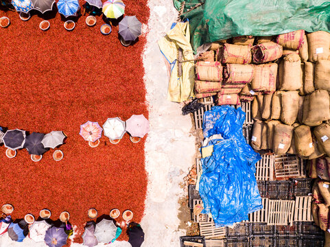 Aerial view of vibrant red chili peppers drying under a canopy of colorful umbrellas, starkly contrasting with robust burlap sacks, Sariakandi, Rajshahi Division, Bangladesh.
