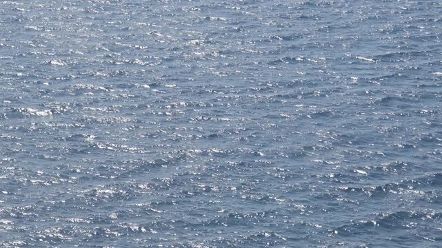 Surface d'une mer scintillante au soleil