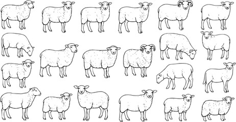 Black and White Hand-Drawn Sheep and Lamb Collection. Detailed line art illustrations of various farm animals in different poses, vintage sketch style for design projects. © abenail