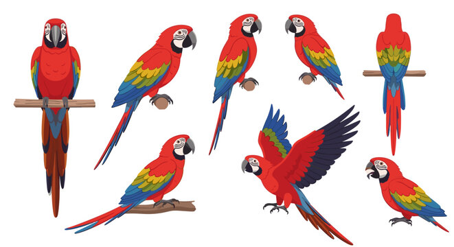 A vibrant illustration of colorful parrots in various poses on branches
