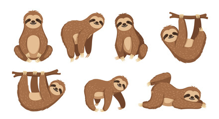Fototapeta premium A set of cute sloth illustrations in various poses and hanging from branches